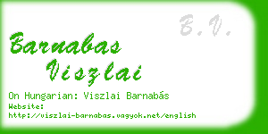 barnabas viszlai business card